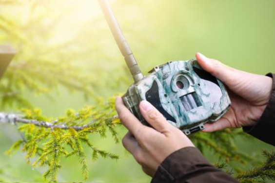 hunter setting up trail camera