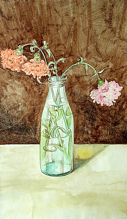 Гвоздики / Carnations