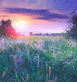 вечернее поле