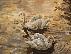 Два лебедя в осеннем пруду