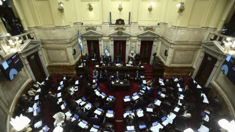 Senators vote on a key reform package for the ultra-right-wing president Javier Milei in a session marked by strikes and demonstrations at the National Congress in Buenos Aires on June 12, 2024.