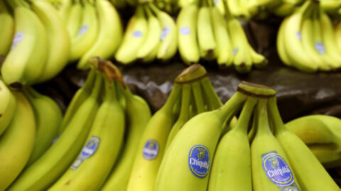Des bananes de la marque Chiquita en vente dans une épicerie de Pennsylvanie, aux États-Unis. 