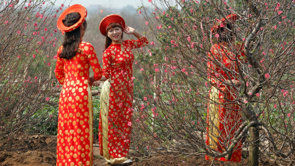 Thiếu nữ áo dài và hoa đào trong dịp Tết Nguyên đán tại Việt Nam (Ảnh chụp ngày 22/01/2017)