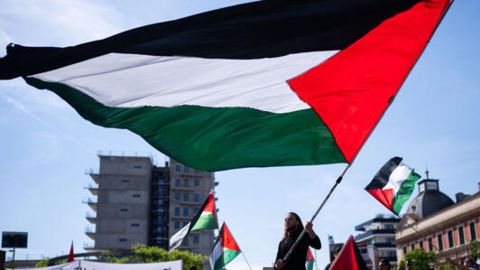 Demonstrators wave the Palestinian flag during a pro-Palestinian demonstration at Columbus Square in Vienna, Austria on May 4, 2024, under the slogan 'Together for Palestine - ceasefire right now!', d