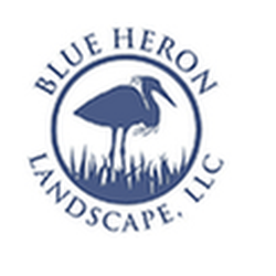 Blue Heron Landscape