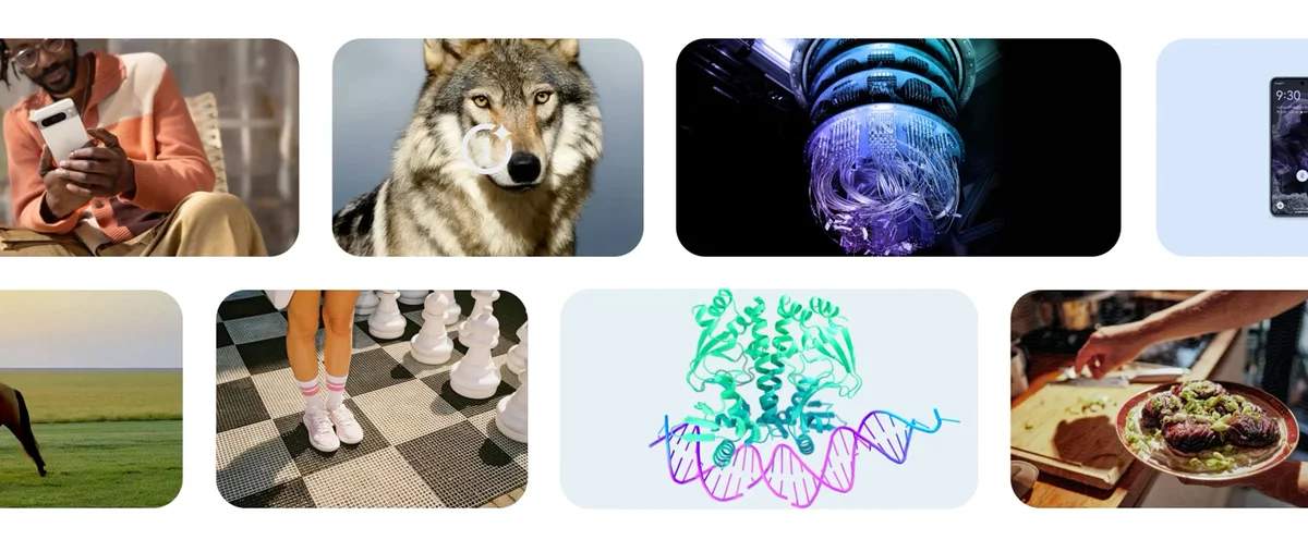 An image of several photos, including a wolf, a person standing on top of a giant chess board, and another person on a mobile device.