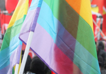 В Эстонии немедленно приняли закон о гомосексуальном сожительстве