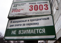 В Москве произошел сбой в мобильной системе оплаты парковки "Моспаркинг"