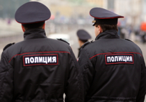 Общественный порядок в новогодние праздники в Подмосковье будут охранять 18000 полицейских