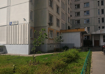 В 2011 году семья молодых москвичей Соколиных решила обзавестись собственным жильем