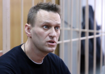 Верховный суд России посчитал, что оппозиционера Алексея Навального нет оснований жаловаться на решение Центральной избирательной комиссии