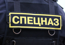 СМИ сообщили, что на востоке Москвы мужчина, вооруженный двумя карабинами "Сайга", взял в заложники жену и ребенка