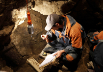 На Алтае, в знаменитой Денисовой пещере впервые нашли фрагменты черепа одного из ее обитателей