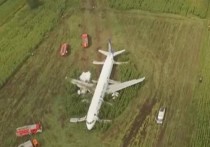 По данным телеграм-канала FlightMode появились случаи мародерства из салона самолета Airbus A321 авиакомпании «Уральские авиалинии», который ранее совершил аварийную посадку на кукурузном поле в Подмосковье