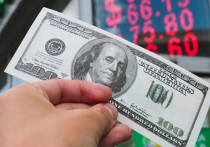 РФ лишилась $7,7 млрд прибыли за год в результате сокращения доли доллара в валютных резервах