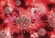 Во Временные методические рекомендации Министерства здравоохранения Российской Федерации по профилактике, диагностике и лечению новой коронавирусной инфекции COVID -19 был внесен первый оригинальный биотехнологический отечественный препарат