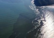 Блогер Юрий Дудь опубликовал кадры нефтяного пятна, замеченного жителями Камчатки в Тихом океане, недалеко от побережья