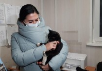 Министр природы Ульяновской области Гульнара Рахматулина сообщила, что у нее появился новый заместитель: неофициальную должность получил кот, которого спасли рабочие местного мусороперерабатывающего завода