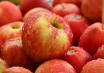 Людям, желающим избавиться от лишнего веса, стоит обратить внимание на яблоки.