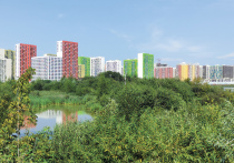 Сворачивание в Москве госпрограммы льготной ипотеки и отсутствие свободных средств на покупку столичных «квадратов» сформировали новые тренды на рынке жилья