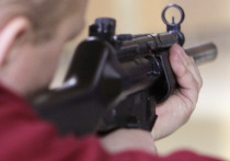 Очередное ЧП со стрельбой вновь вызвало волну предложений по ужесточению оружейного законодательства