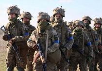В отчетах миссии Организации по безопасности и сотрудничеству в Европе (ОБСЕ), размещенной в 2014 году на востоке Украины для урегулирования вооруженного конфликта и мониторинга ситуации, все чаще стали появляться претензии к руководству Луганской народной республики