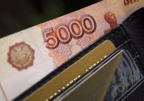 Одной из самых коррумпированных сфер в России стала финансово-кредитная
