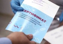 Госдума приняла в первом чтении законопроект о медицинских сертификатах