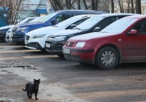 Россиянам грозят штрафы за прогрев автомобилей во дворах длительностью более пяти минут, сообщает «Газета