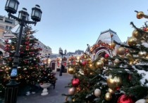 Синоптики предупредили москвичей о морозце в первые дни нового года