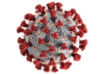 ВОЗ обнародовала данные о "зашкаливающей" суточной заболеваемости коронавирусом в мире