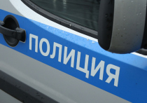Разбойное нападение на трансвеститов, оказывающих сексуальные услуги, раскрыли московские полицейские