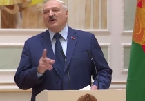 Президент Белоруссии Александр Лукашенко высказал мнение, почему украинские военные расстреляли пленных российских военнослужащих