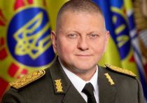 Главнокомандующий Вооруженными силами Украины Валерий Залужный признал, что в украинских войсках наблюдается массовое дезертирство