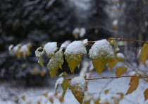 Синоптики пообещали «ноябрьскую» погоду 1 января, сообщает ТАСС