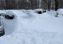 Во второй половине понедельника, 27 ноября, российская столица может побить очередной погодный рекорд