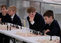 В Подмосковье в городском округе Истра открылась шахматная Академия Сергея Карякина