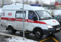 Молодой мужчина погиб во время чистки от снега крыши спорткомплекса на юго-западе Москвы