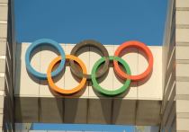 Член Совета Федерации Александр Карелин заявил, что полноценно заменить Олимпийские игры не получится