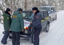 Лесная охрана вышла на патрулирование в Орехово-Зуевском лесничестве