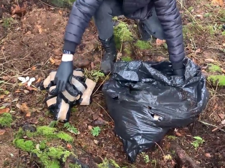 В Подмосковье полицейские обнаружили в лесу свыше 100 кг наркотиков
