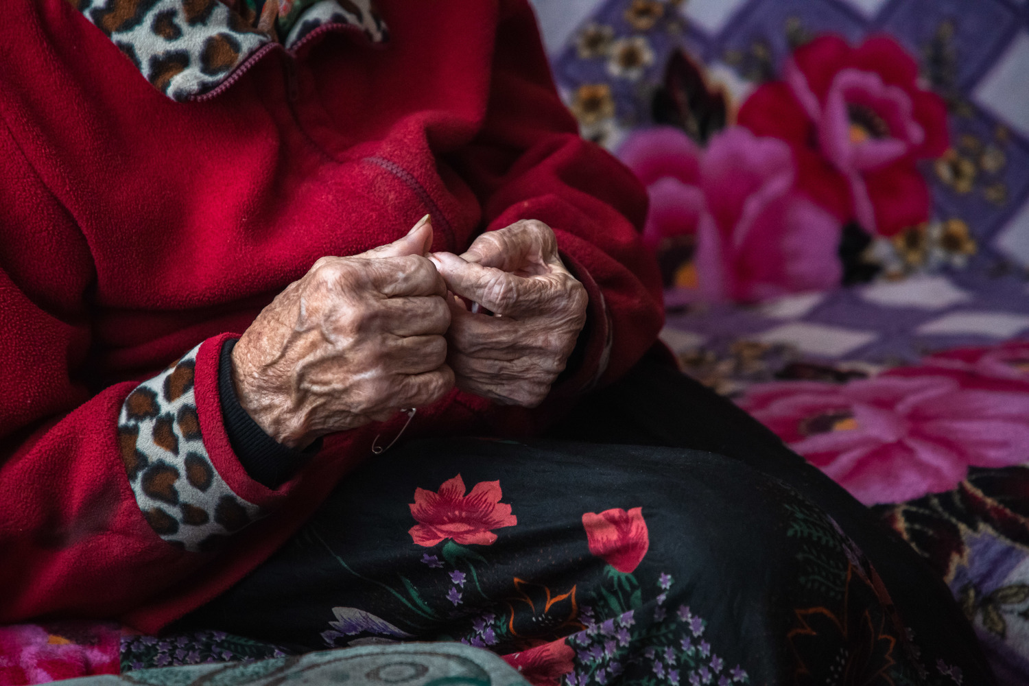 Она спасала пассажиров "Невского экспресса": история бабушки из Лыкошино в фотографиях