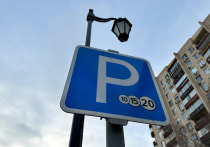 На новые платные места москвичей «переведут» мониторингом тротуаров

