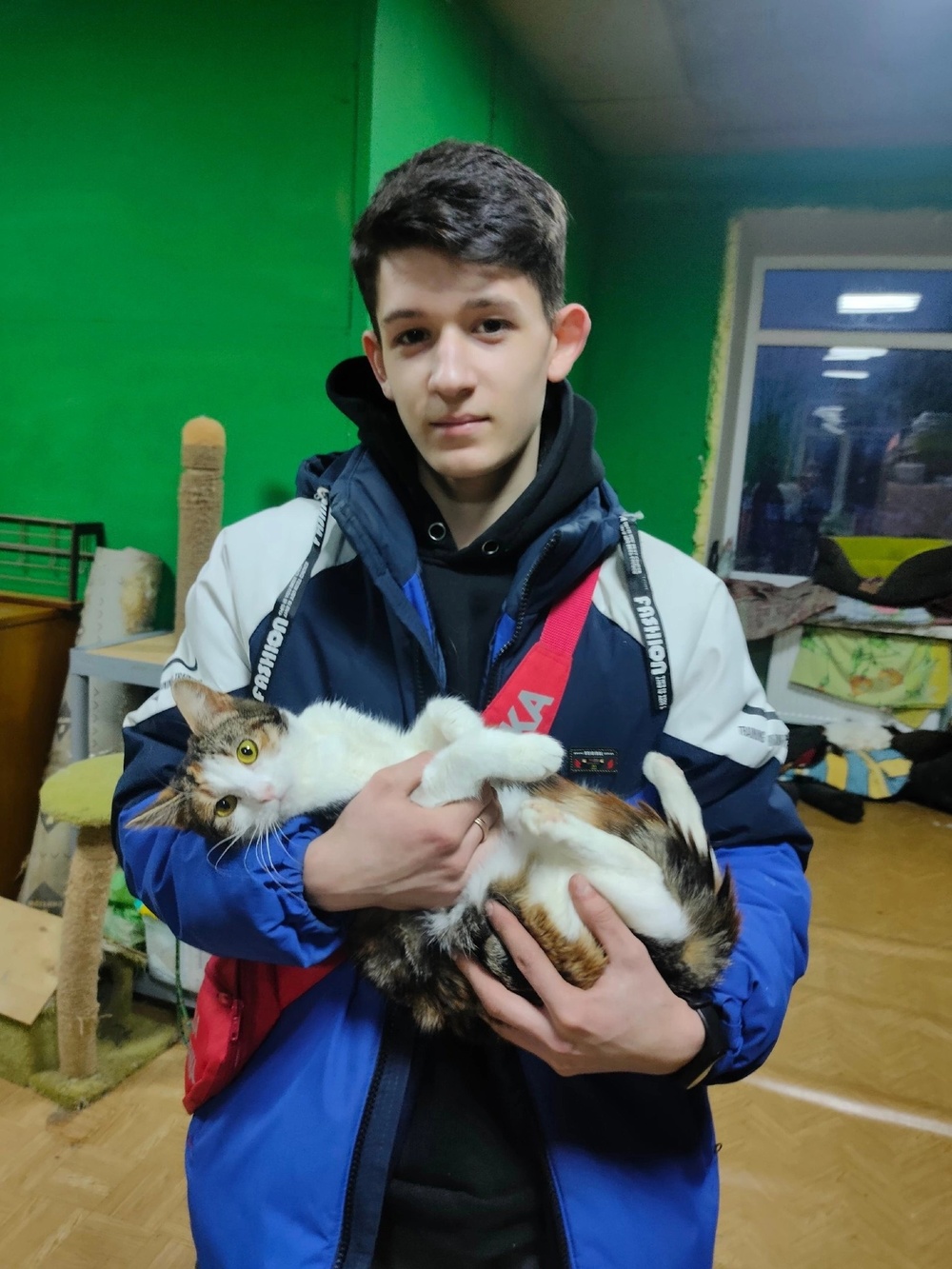 День кошек: россияне спасают мурлык