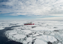 Третий год подряд климатический кризис разрушает ледники 
