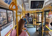 Россияне, пользующиеся услугами общественного транспорта, рассказали о том, как часто и что именно они забывают при выходе из салона