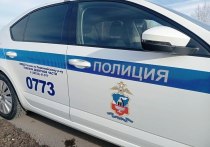 Сотрудники полиции и кинологической службы тщательно досматривают все машины, которые въезжают в Барнаул. Об этом сообщили подписчики телеграм-канала «В курсе 22».