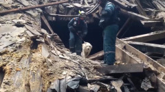 В "Крокусе" спасатели продолжают поиски и разбор завалов: видео