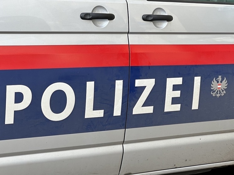 Полиция Вены сообщила, что в посылках от российского посольства были конфеты и календари