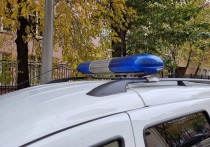 Обстоятельства загадочной гибели двух мужчин в частном доме в поселке Лужки Ленинградской области расследуют правоохранители